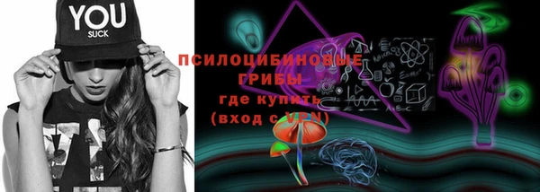 spice Алексин