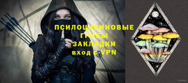 spice Алексин